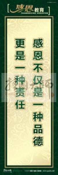 感恩宣傳標(biāo)語 感恩標(biāo)語 學(xué)生感恩教育 素質(zhì)教育標(biāo)語 感恩不僅是一種品德，更是一種責(zé)任
