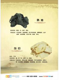 中醫(yī)藥圖片 熟地和當(dāng)歸