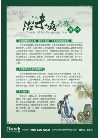 中醫(yī)學圖片 治未病之春養(yǎng)肝