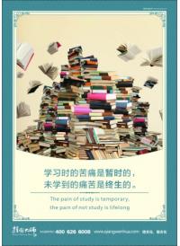 學(xué)校圖書館標(biāo)語 學(xué)習(xí)時的苦痛是暫時的，未學(xué)到的痛苦是終生的