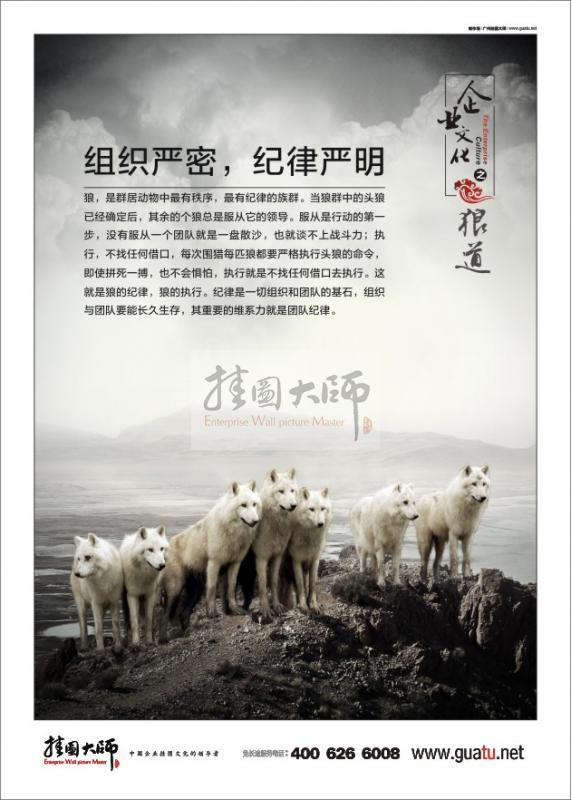 狼道-組織嚴(yán)密，紀(jì)律嚴(yán)明