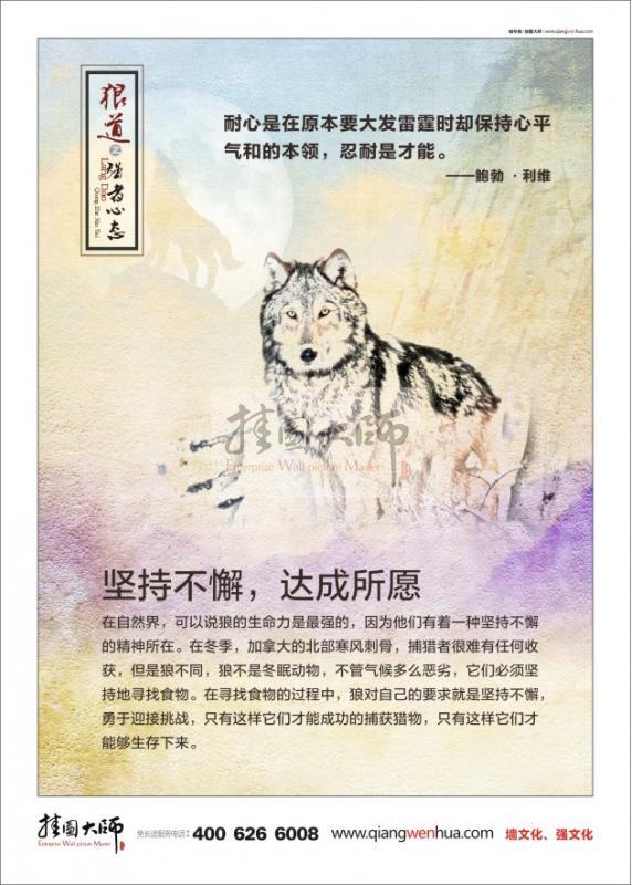 狼道-堅(jiān)持不懈,達(dá)成所愿