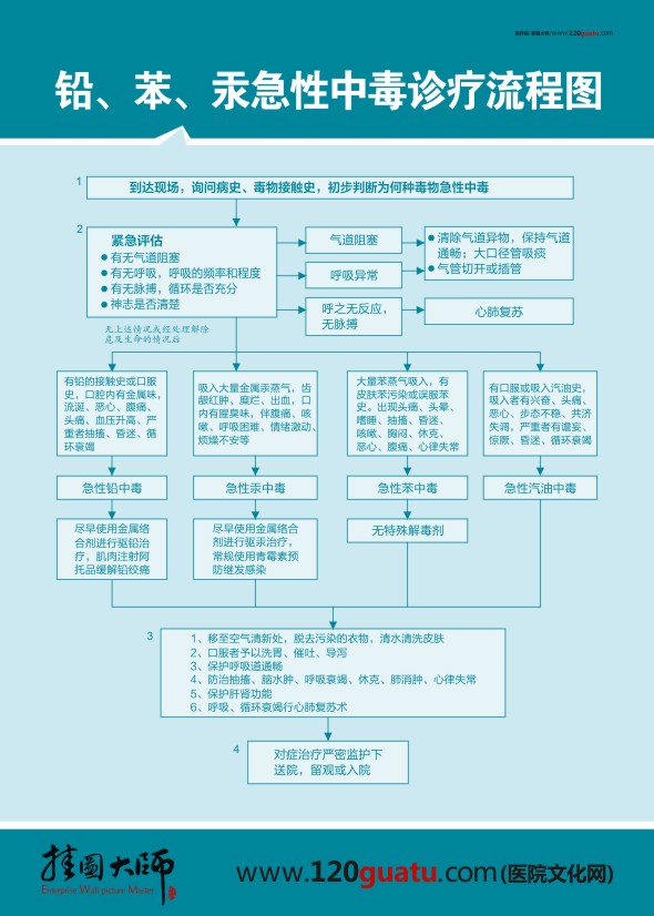 鉛、笨、汞急性中毒診療流程圖 醫(yī)院急救流程